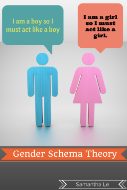 Gender Schema Theory
